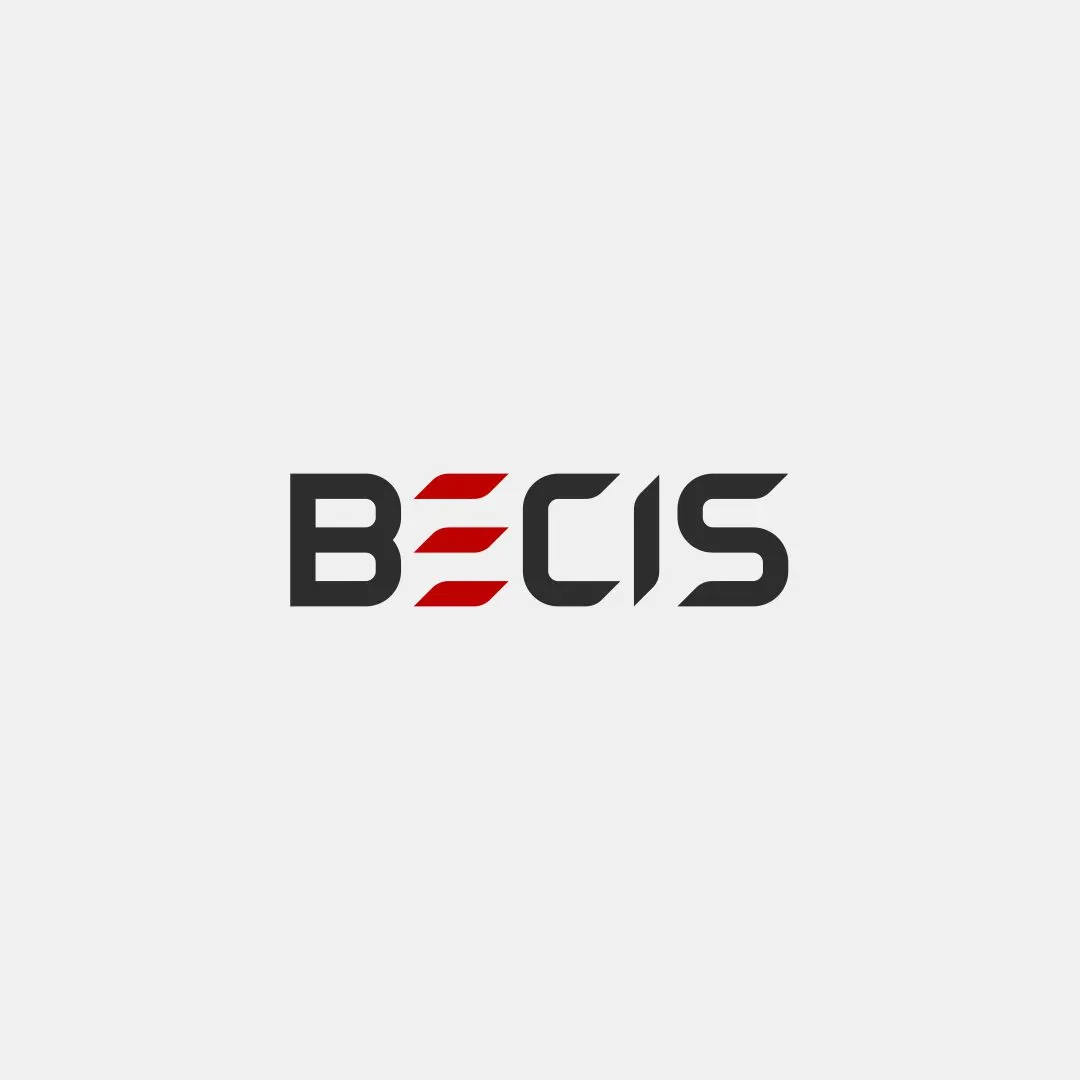 Copy of BECIS Solar EPC Company CLient of OSG Oriana India.webp