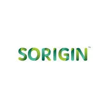 Copy of Sorigin Solar EPC Company Client of OSG Oriana India.webp